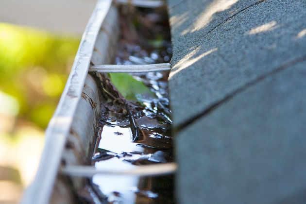 Gutter Roof Repairs Services Riva MD